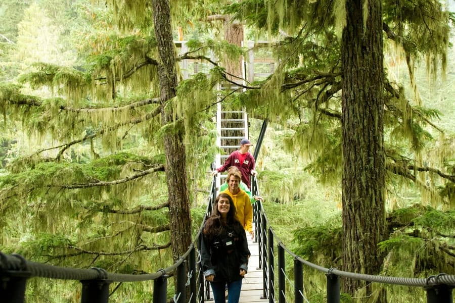 Whistler ZipTrek Ecotours: TreeTrek Adventure, at Ziptrek Ecotours