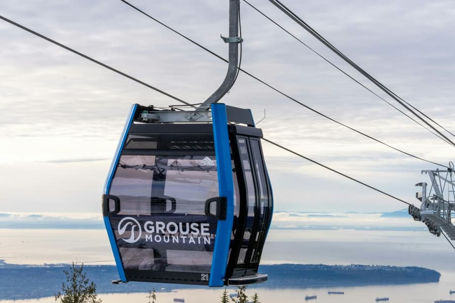 North Vancouver: Guided Tour with Entry to Grouse Mountain and MONOVA tickets