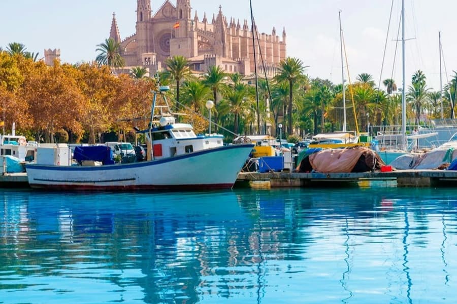 Palma de Mallorca: Boat Tour by City Sightseeing, Palma de Mallorca