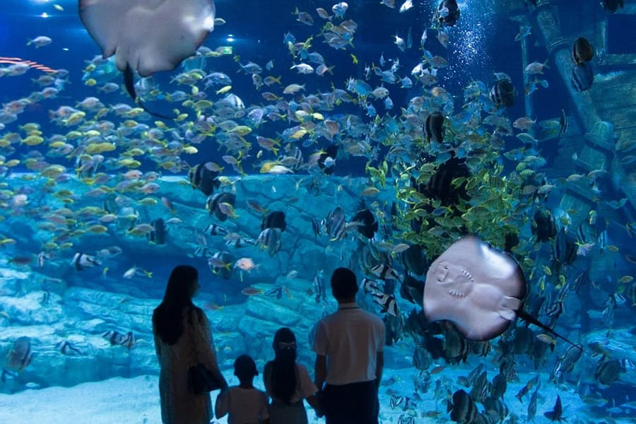 Lotte World Aquarium Hanoi: Entry Ticket, Hanoi