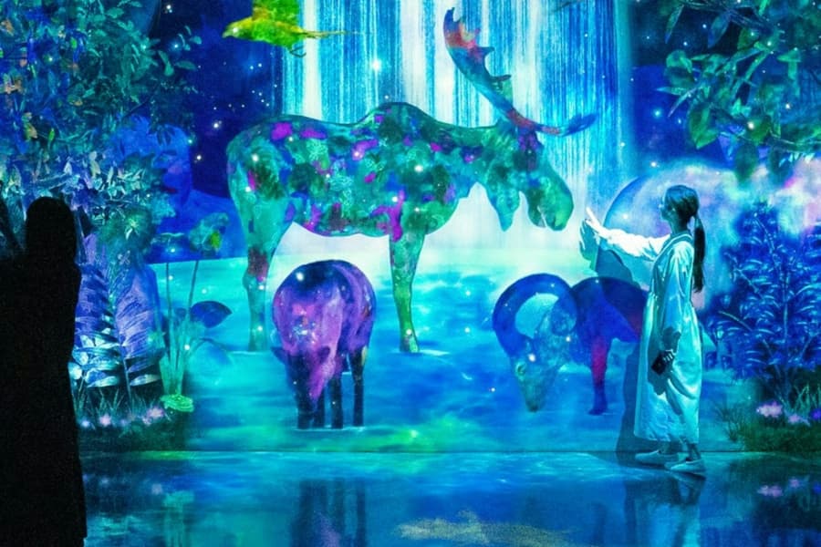 teamLab Forest Fukuoka: Entry Ticket, at teamLab Forest Fukuoka, Fukuoka-shi