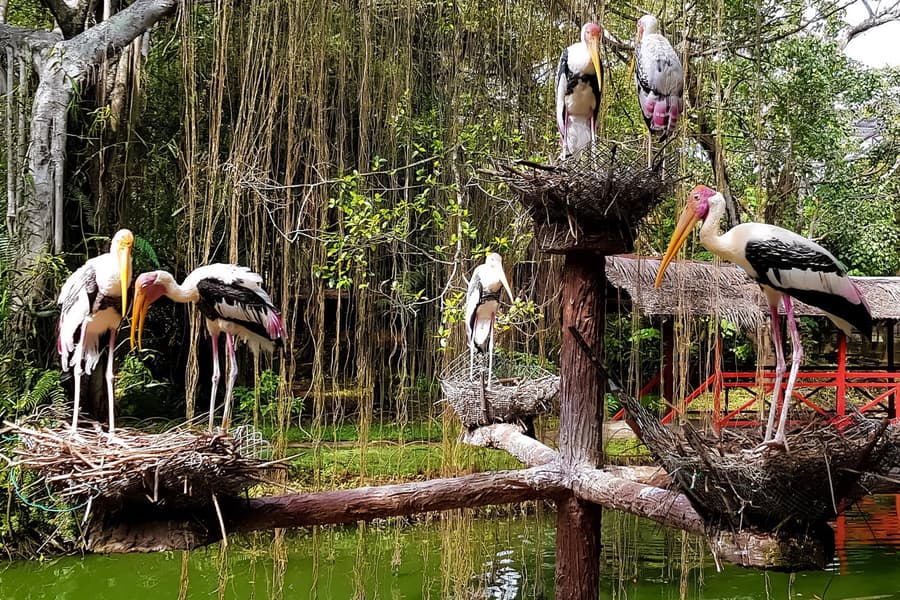 Penang Bird Park Ticket, Penang