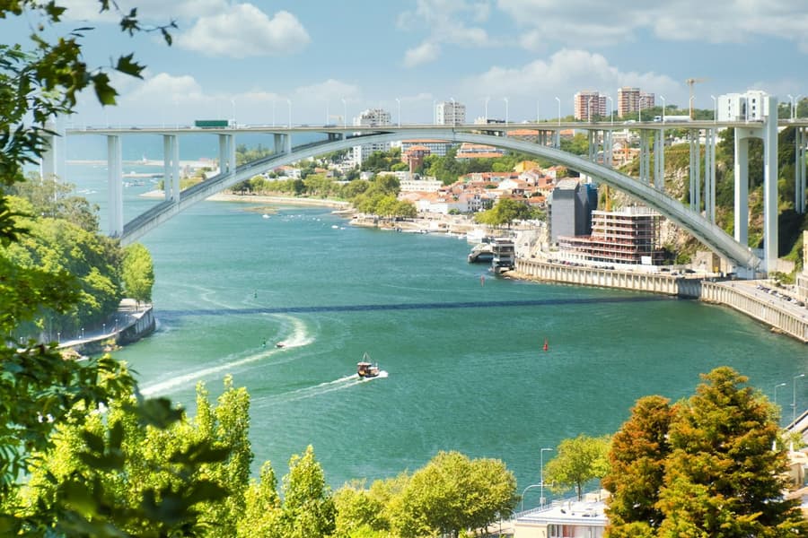 Douro River: Small-Group Walking Tour, at Porto City Tours