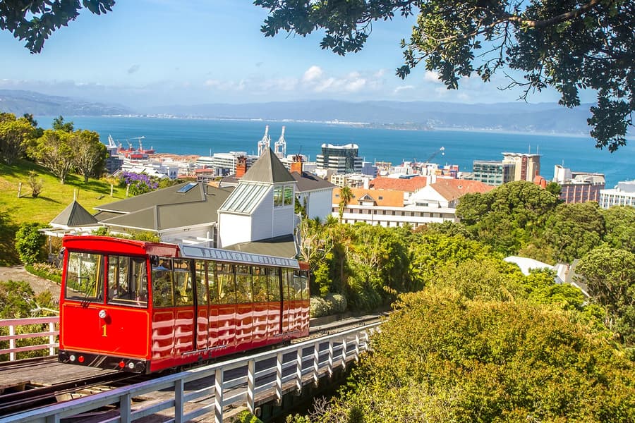 Half-Day Small-Group Guided Tour of Wellington Highlights, Wellington