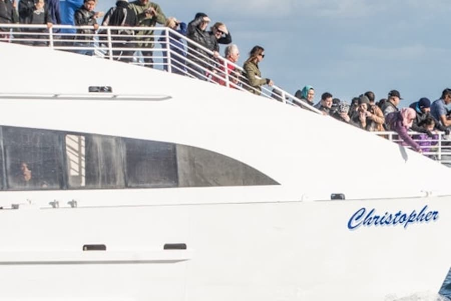 Long Beach: Whale and Dolphin Watching Cruise tickets