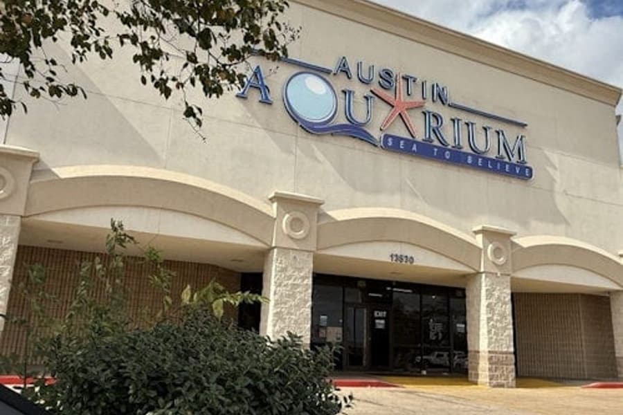 Акувариум Ванкувър: Билет за вход, at Austin Aquarium, Austin