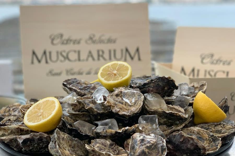 Musclarium: Route of the Mussel Farms, San Carlos de la Rápita