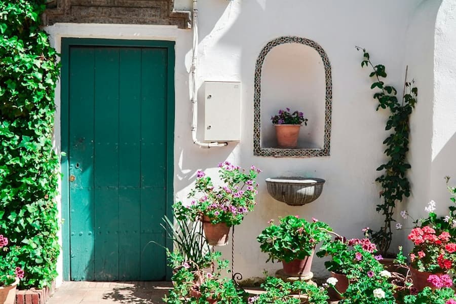 Viana Patios & Palace: Guided Tour, at Viana Palace, Cordoba