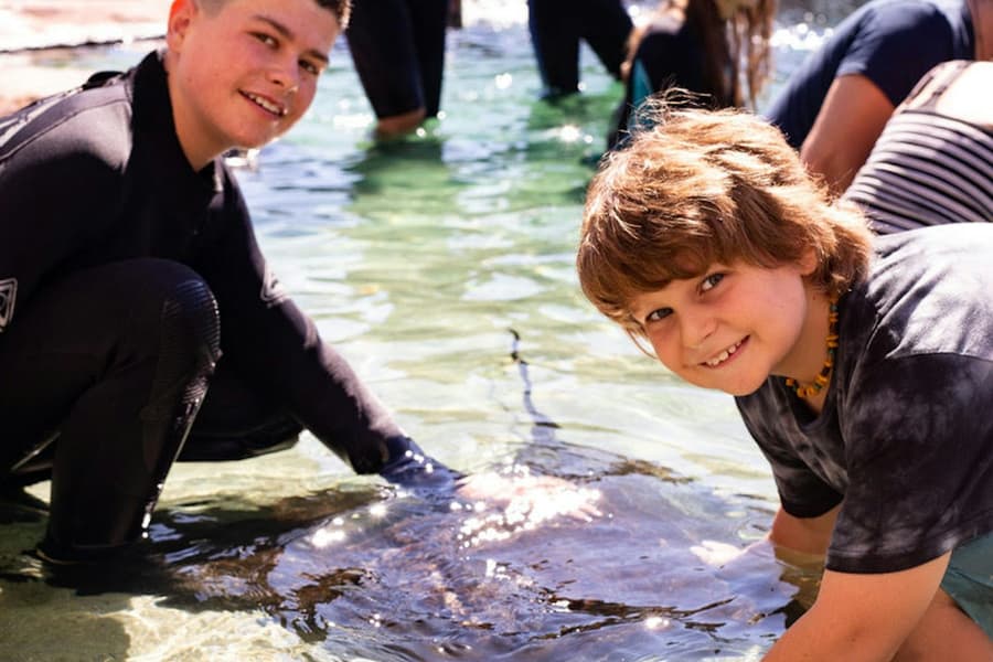 Irukandji Shark & Ray Encounters tickets at Irukandji Shark & Ray Encounters