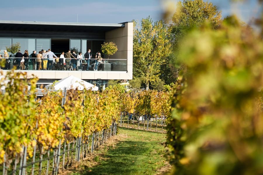 Esterházy Winery Experience, Trausdorf an der Wulka