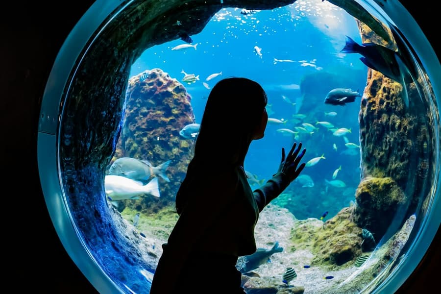 Enoshima Aquarium: Entry Ticket, at Enoshima Aquarium, Fujisawa