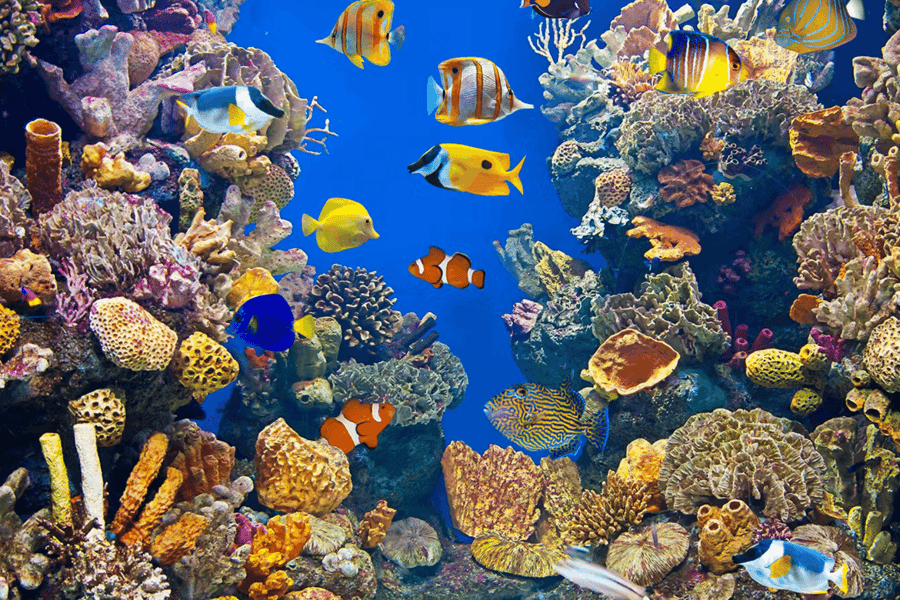 Barcelona Aquarium: Flexi-Ticket, at Barcelona Aquarium
