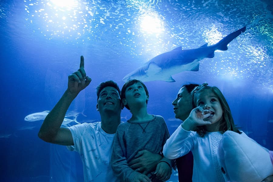 اوشینوگرافک کے ٹکٹس اور اختیاری 4D سینما, at Oceanogràfic, Valencia