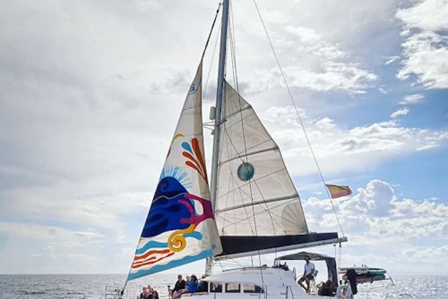 Chuyến du ngoạn thuyền buồm Catamaran Marbella, Marbella