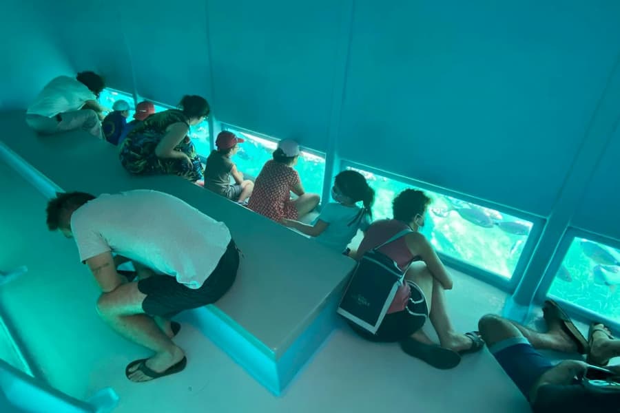 Cap Norfeu: 2.5-Hr Glass Bottom Boat Tour from Roses or Santa Margarita tickets at Costa Brava Boat Trips