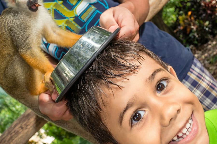 Monkeyland and Plantation: Guided Tour + Tasting + Roundtrip Transfer, at Monkeyland, Salvaleón de Higüey