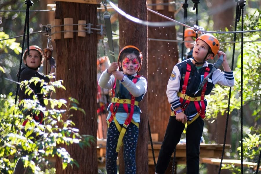 Treetops Adventure Belgrave: Junior Entry Ticket, at Treetops Adventure Belgrave