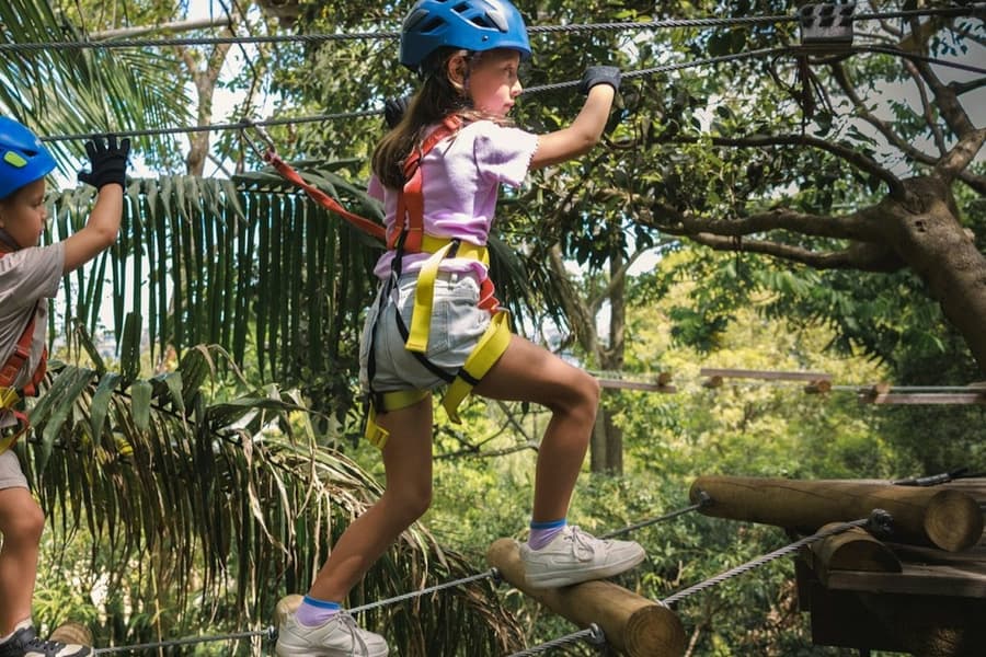 Treetops Adventure Yeodene Park: Junior Ropes Course, at Treetops Adventure Yeodene
