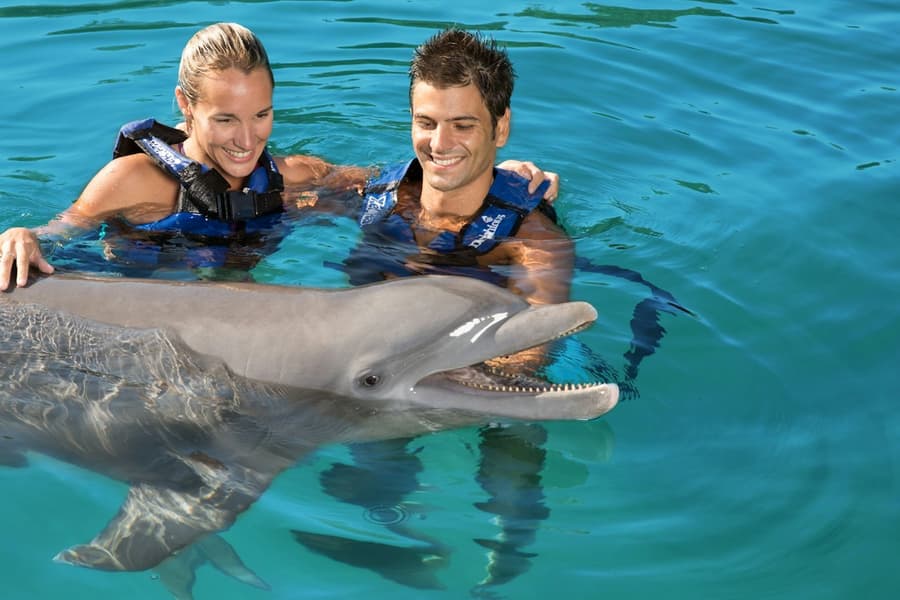 Delphinus Xel-Há: Fast Track Ticket + Hotel Pickup + Swim with Dolphins, at Delphinus Xel-Há, Playa Del Carmen
