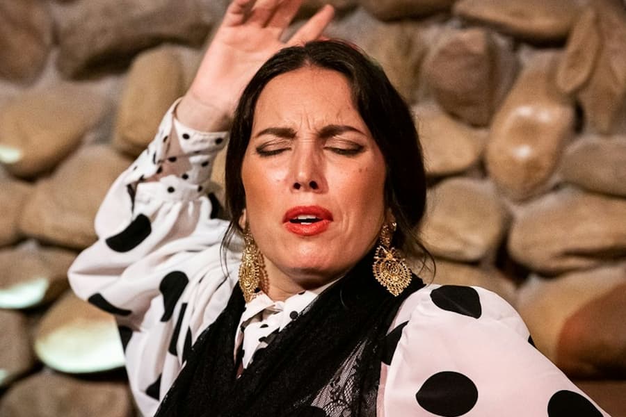 El Gallo Ronco Málaga: Flamenco Show, Malaga
