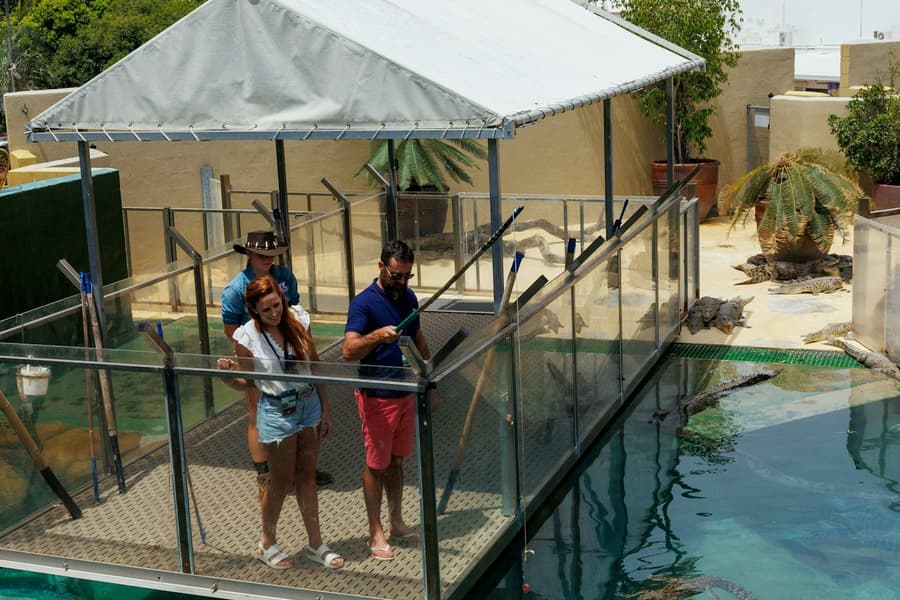 Big Croc Encounter VIP Tour, Darwin