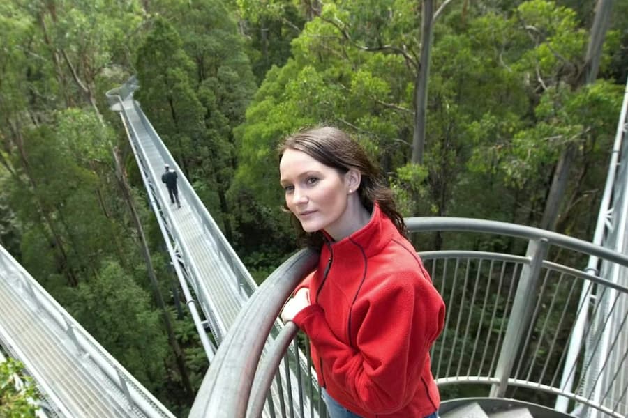 Otway Fly Treetop Adventures: Treetop Walk, at Otway Fly Treetop Adventures, Melbourne