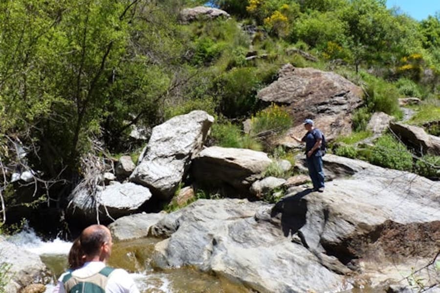 Sierra Nevada : Visite Guidée au départ de Grenade, Granada