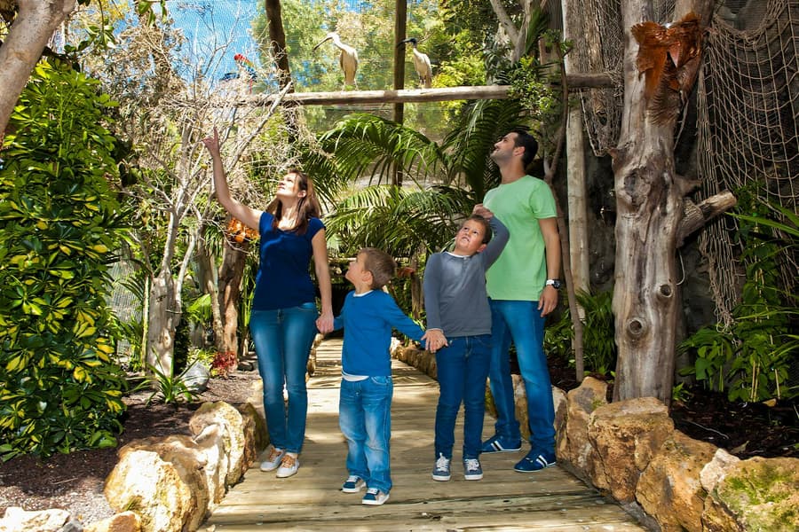 Tenerife Jungle Park Tickets, Tenerife