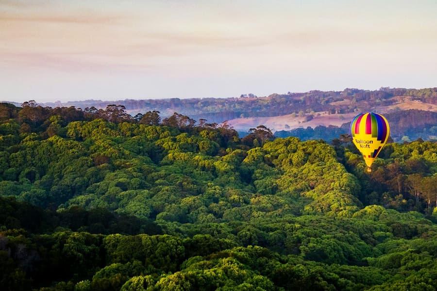 Byron Bay: Hot Air Balloon Flight at Sunrise, at Gold Coast Aviation Activities, Byron Bay