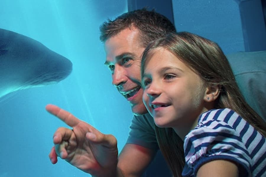 SEA LIFE Sunshine Coast Aquarium: Entry Ticket, Mooloolaba