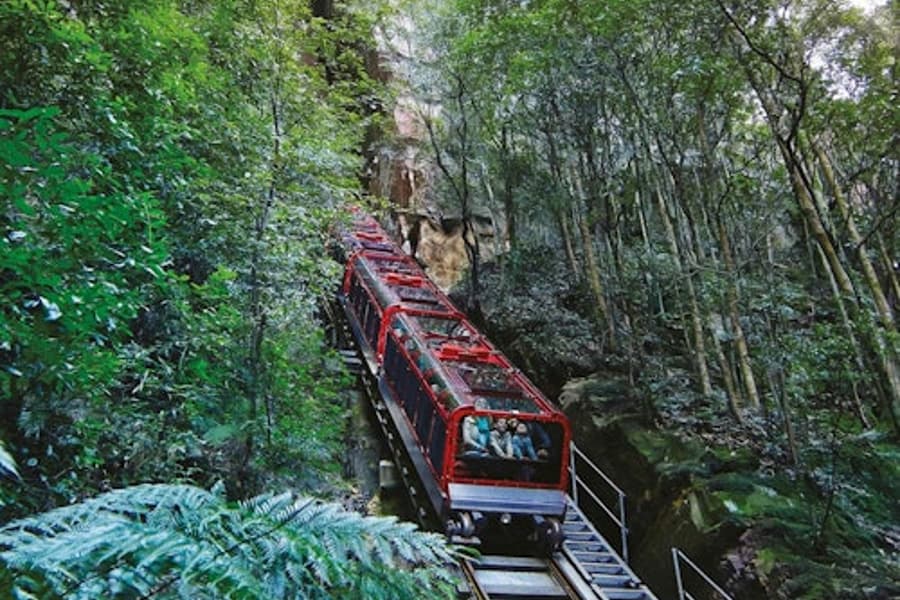 Montagne Blu: Biglietto d'ingresso per Scenic World + Crociera nel porto da Sydney, Katoomba