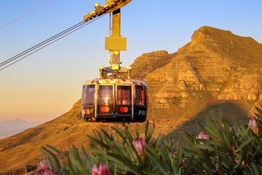 Núi Bàn, Bãi biển Boulders & Mũi Hảo Vọng: Tour Riêng + Đưa Đón Khứ Hồi, Cape Town