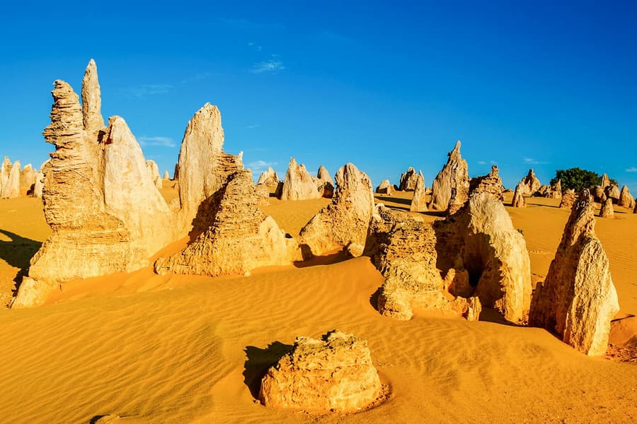 Pinnacles, Wildlife Spotting & Swan Valley Tour with Round-Trip Transfers & Lunch, Perth