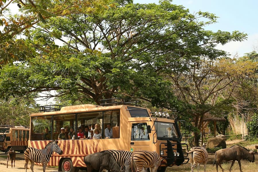 Bali Safari: Day Pass, at Bali Safari & Marine Park, Serongga