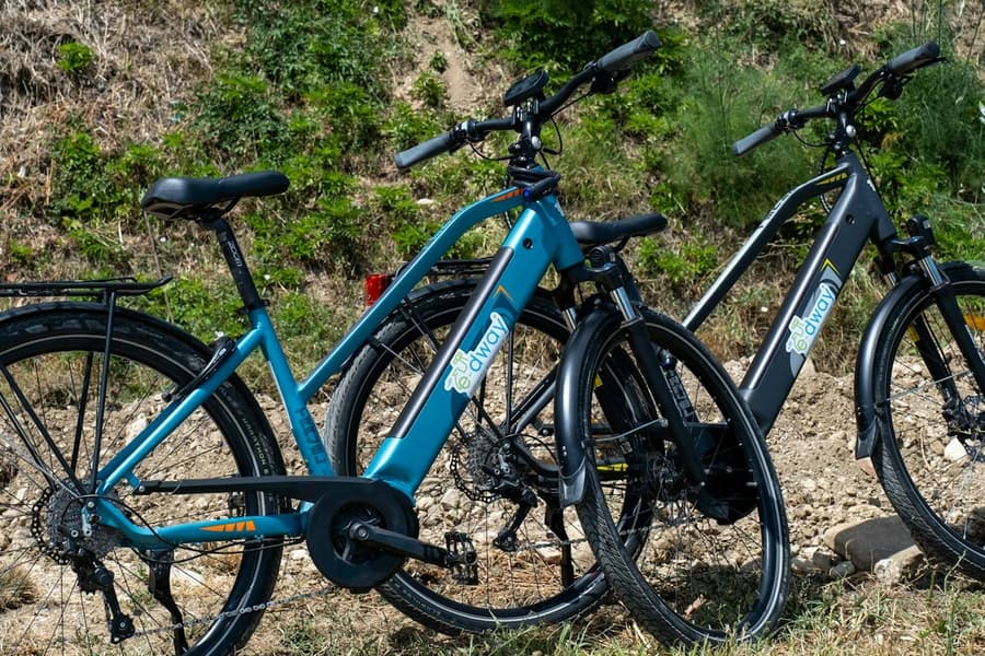 Florence: Half-Day Guided E-bike Tour + Lunch