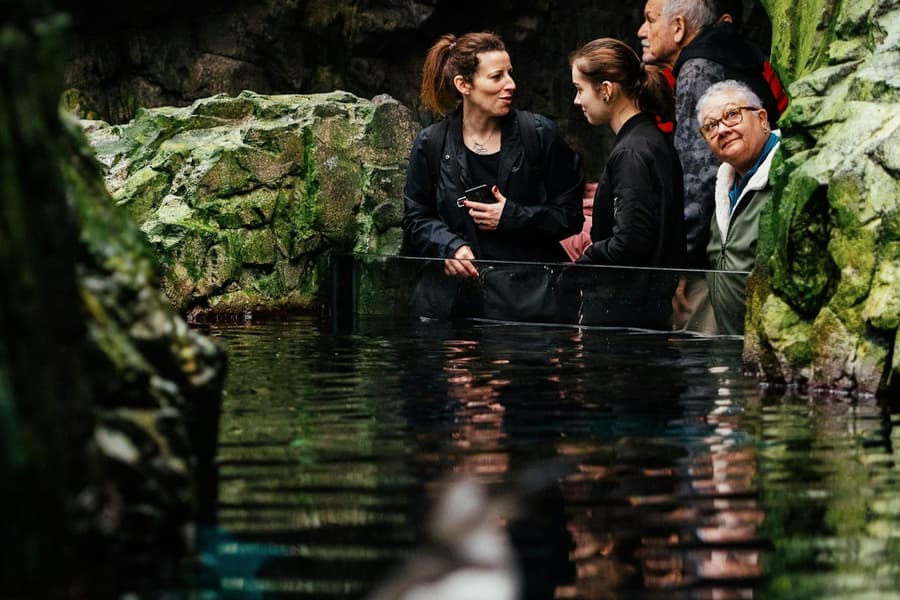 Oceanário de Lisboa: Guided Tour, at Oceanário de Lisboa
