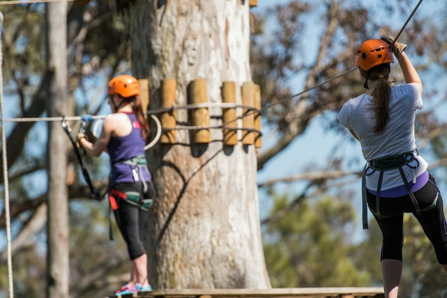 Treetops Adventure: Nowra Park, at Treetops Adventure: Nowra Park