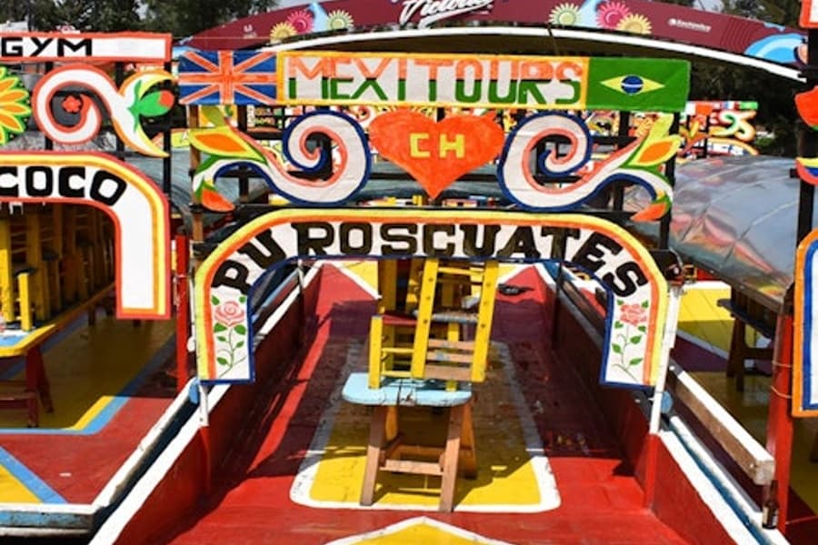 Xochimilco, University City & Coyoacan: Day Trip from Mexico City, Mexico City