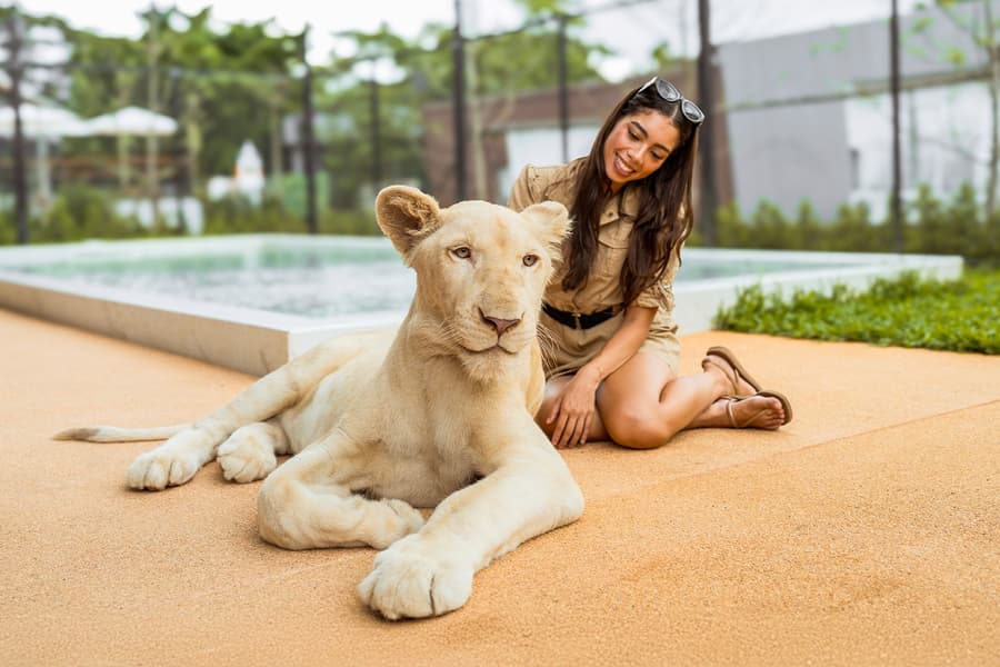 Bilhetes para Lion Land Phuket, at Lion Land Phuket, Phuket