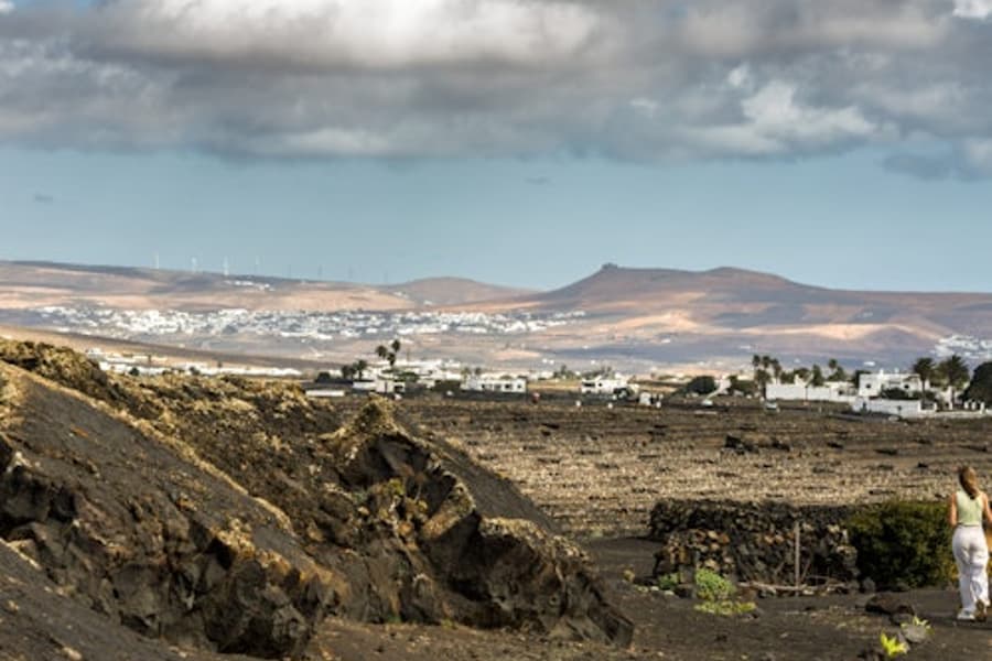 Lanzarote: El Grifo Weinliebhaber-Touren, at Bodegas El Grifo, San Bartolome
