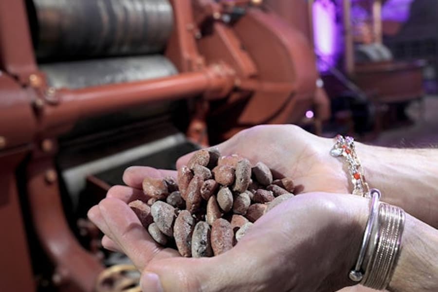 Turin: Choco-Story Tour + Audio Guide + Chocolate Tasting, at Choco-Story Torino, Turin