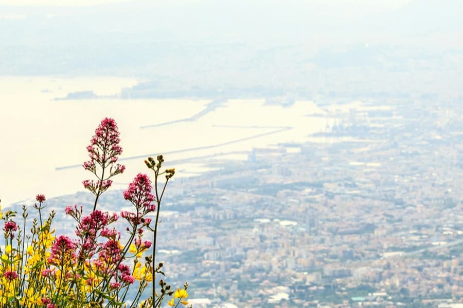 Mount Vesuvius: Skip The Line Ticket + Roundtrip from Naples, at Vesuvius Day Trips from Naples