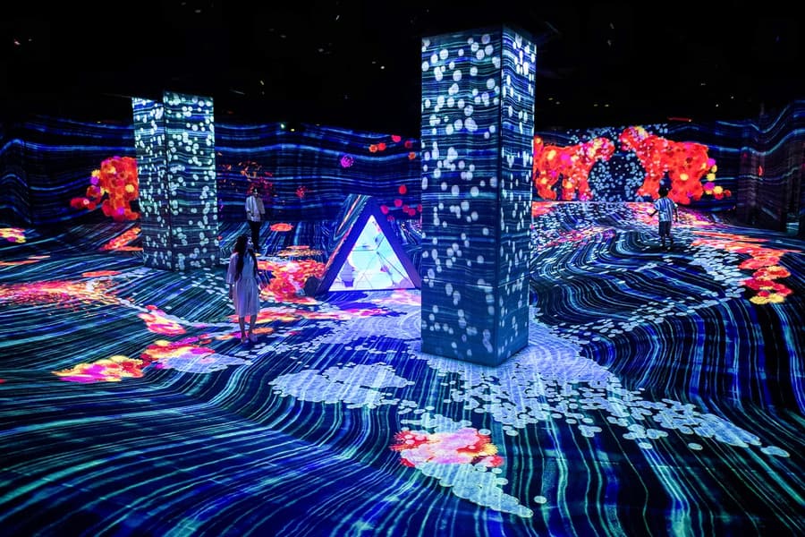 E・ZO FUKUOKA teamLab Forest Tickets, Fukuoka