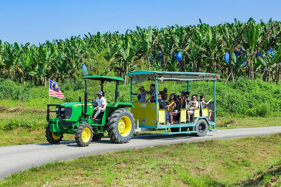 Tickets to Selangor Fruit Valley, at Selangor Fruit Valley, Selangor