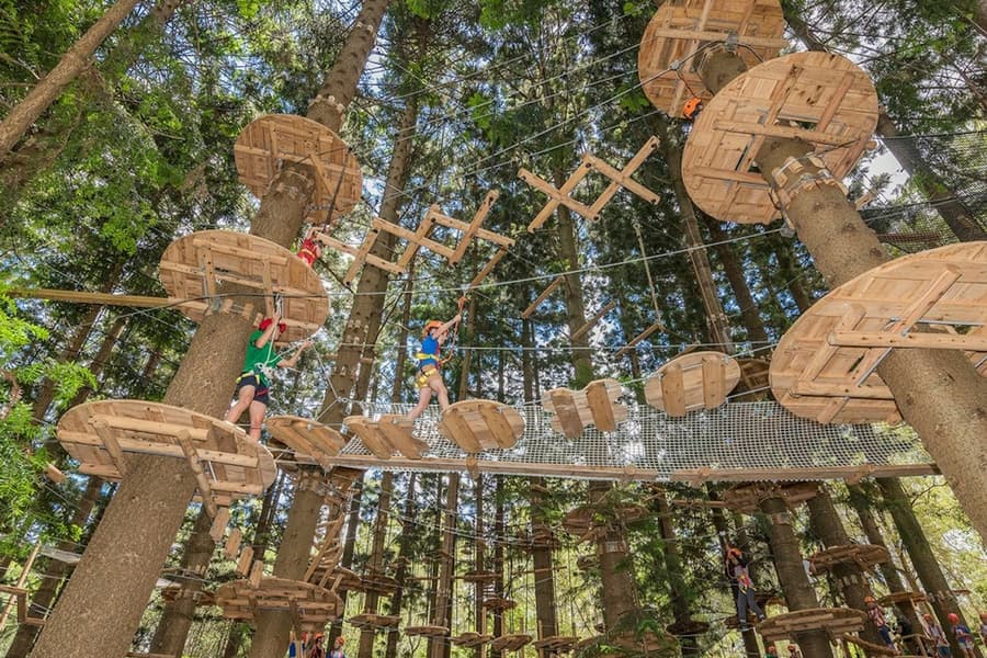 Treetops Adventure - The Hills: Entry Ticket, at Treetops Adventure The Hills, West Pennant Hills