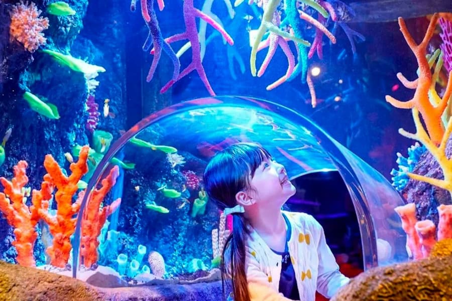 SEA LIFE Nagoya: Entry Ticket, Nagoya
