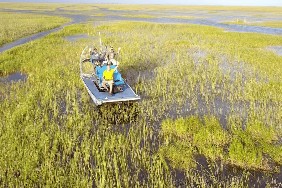 Fort Lauderdale: 1-Hr Private Everglades Airboat Tour, at Sawgrass Recreation Park