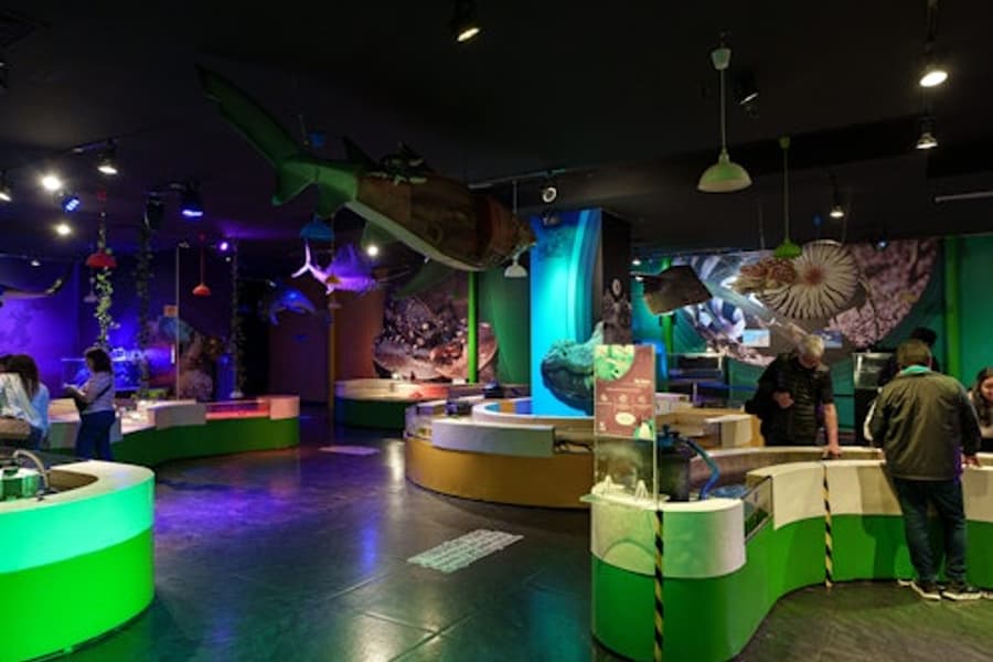 Inbursa Aquarium in Mexico City: Entrance Ticket, Mexico City