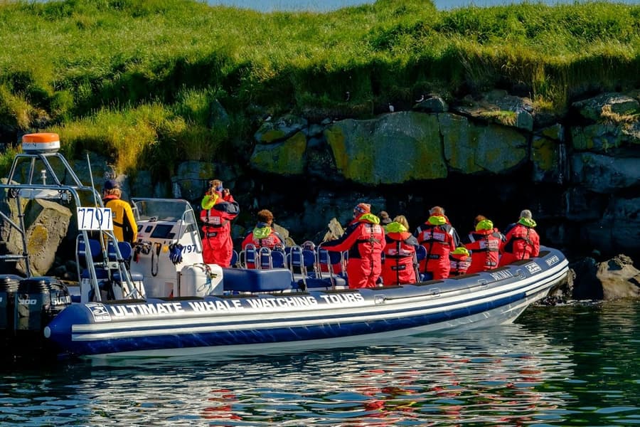 Iceland: Premium Puffin Tour From Reykjavík tickets at Nature Activities Reykjavik