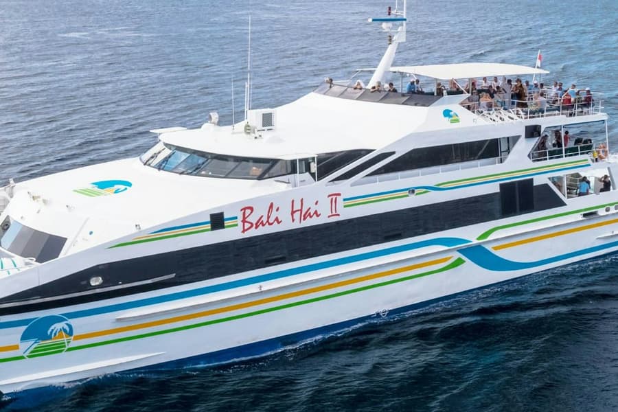 Nusa Lembongan: Cruise from Bali + Beach Club Entry + Activities, at Denpasar Cruises, Denpasar